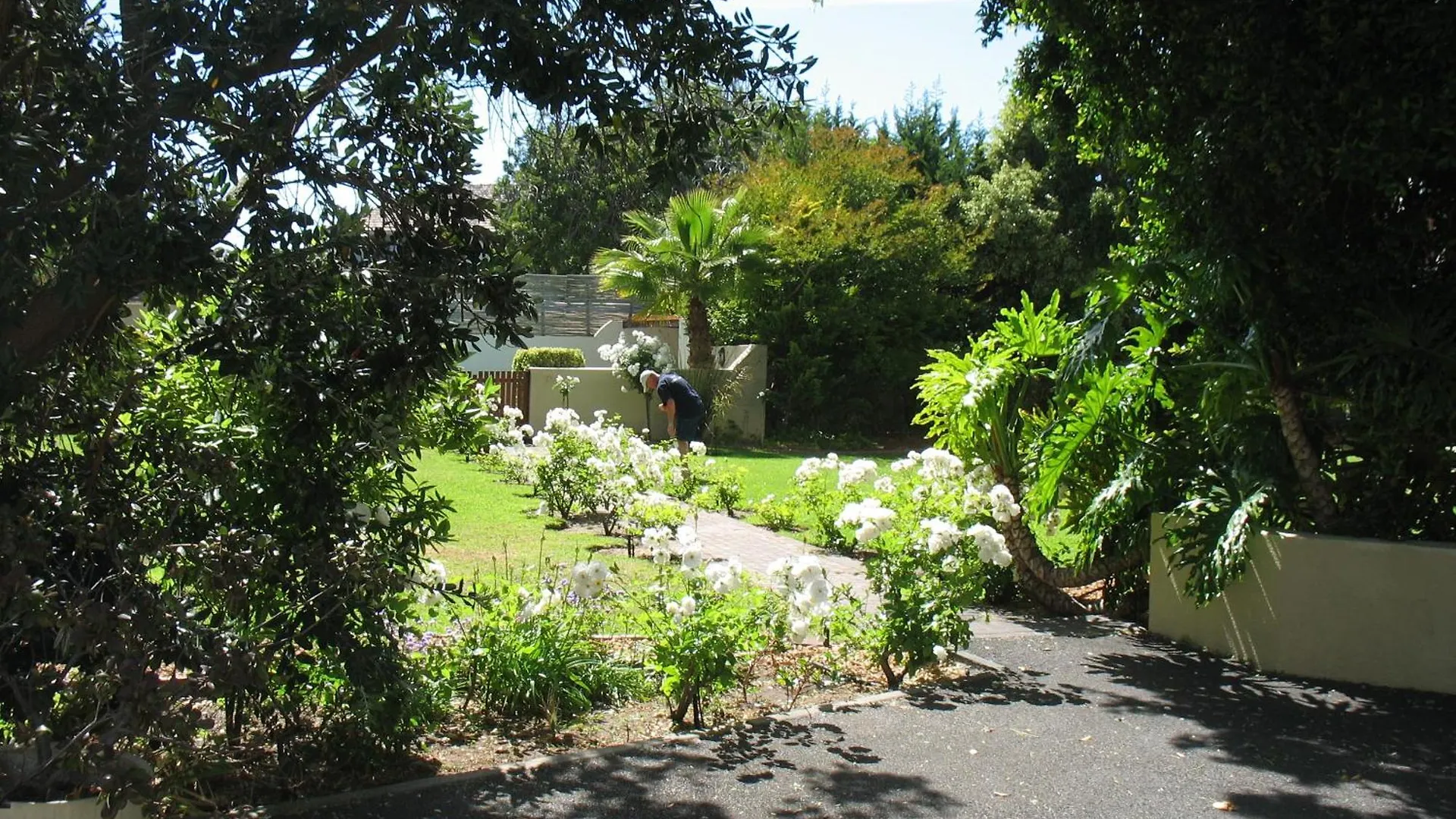 2 Royal Palms Apartment Cape Town South Africa